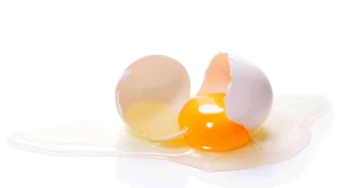 HRS Solution on Thermal Egg Processing